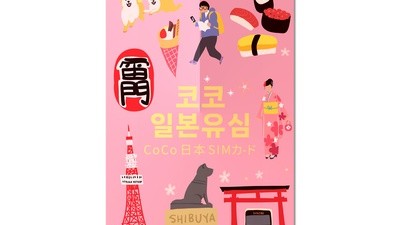 [아이폰 알뜰유심] 이 제품 어때요? 소프트뱅크 일본 코코 데이터 전용 유심칩