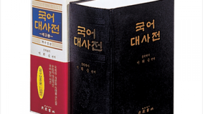 민중서림국어대사전 TOP10 실용적이면서 세련된 제품 추천