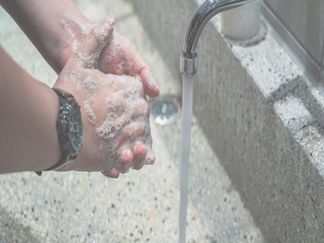 감추어진 기억, 잊혀진 삶