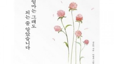 어머니는그래도되는줄알았습니다 가성비 최고 아이템 TOP10 가격 비교 정리