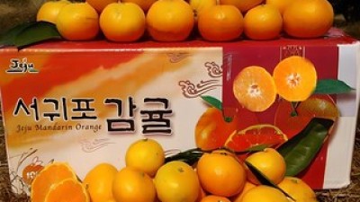 서귀포감귤3kg 최신 쇼핑 트렌드 & 추천 아이템