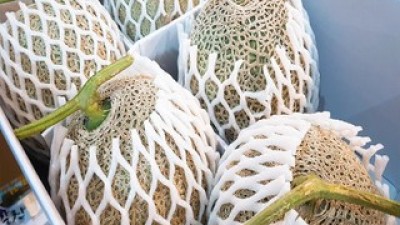 두레머스크메론 추천: 신상템 vs 스테디셀러 비교 분석