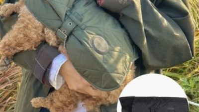 강아지바버 쇼핑 전 필독! 구매 체크리스트