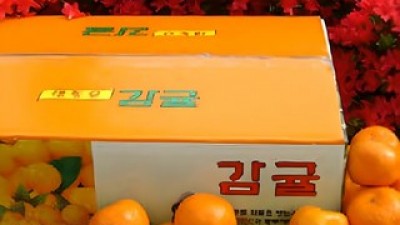 감귤나라10kg 구매 방법 정보 공유, 할인 이벤트 소개