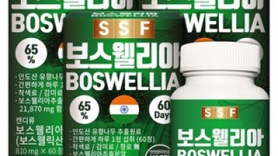 익스트림보스웰리아 추천 핫딜 가격 비교 정리