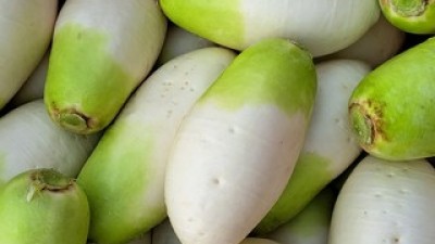 무18kg 구매 방법 정보 공유, 할인 이벤트 소개