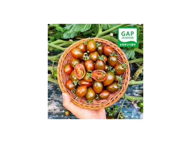 방울토마토대저짭짤이 추천 제품 BEST10 구매 가격 가이드