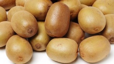 골드키위10kg 가성비 최고 아이템 TOP10 가격 비교 정리