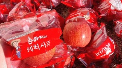 세척꿀사과 추천 이유 및 특징 정리