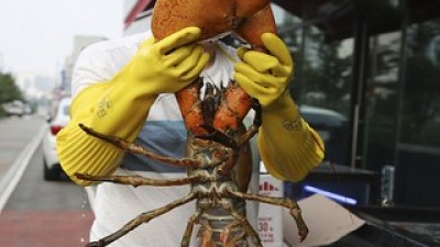 5kg랍스터 가이드 정보 공유